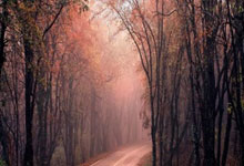 韦德体育：“篮球运动员代言品牌广告，拓展商业价值”.