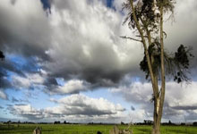 韦德体育：第39届中国围棋天元赛开幕 常昊：天元赛是我首个头衔番棋赛冠军2025-02-13.