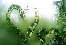 韦德体育：[德甲]第23轮：法兰克福VS沃尔夫斯堡.