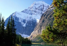 韦德体育:与亚冬会赛跑!走路依然很疼,谷爱凌伤情更新中新体坛.